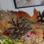 20181024_154215